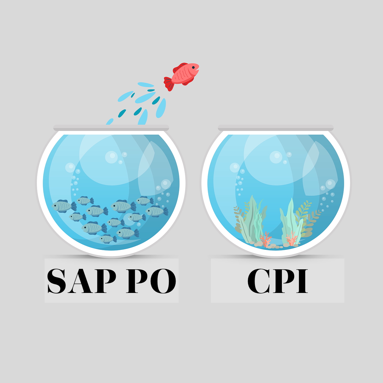 Poster mit Fisch, der von SAP PO Glas zu CPI Glas springt als Symbol für Systemmigration